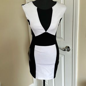 NWT BeBe Body Con Mesh Insert Zip Dress